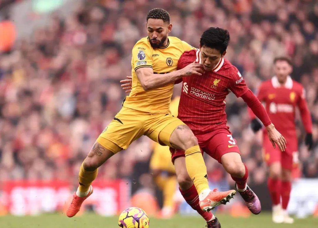 狼队主场首胜,球迷沸腾庆祝胜利 狼队主场首胜,球迷沸腾庆祝胜利