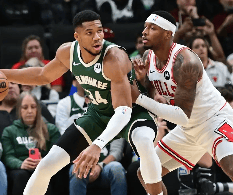 幼狮队终结勇士的连胜,战胜对手展现实力 幼狮队终结勇士的连胜,战胜对手展现实力