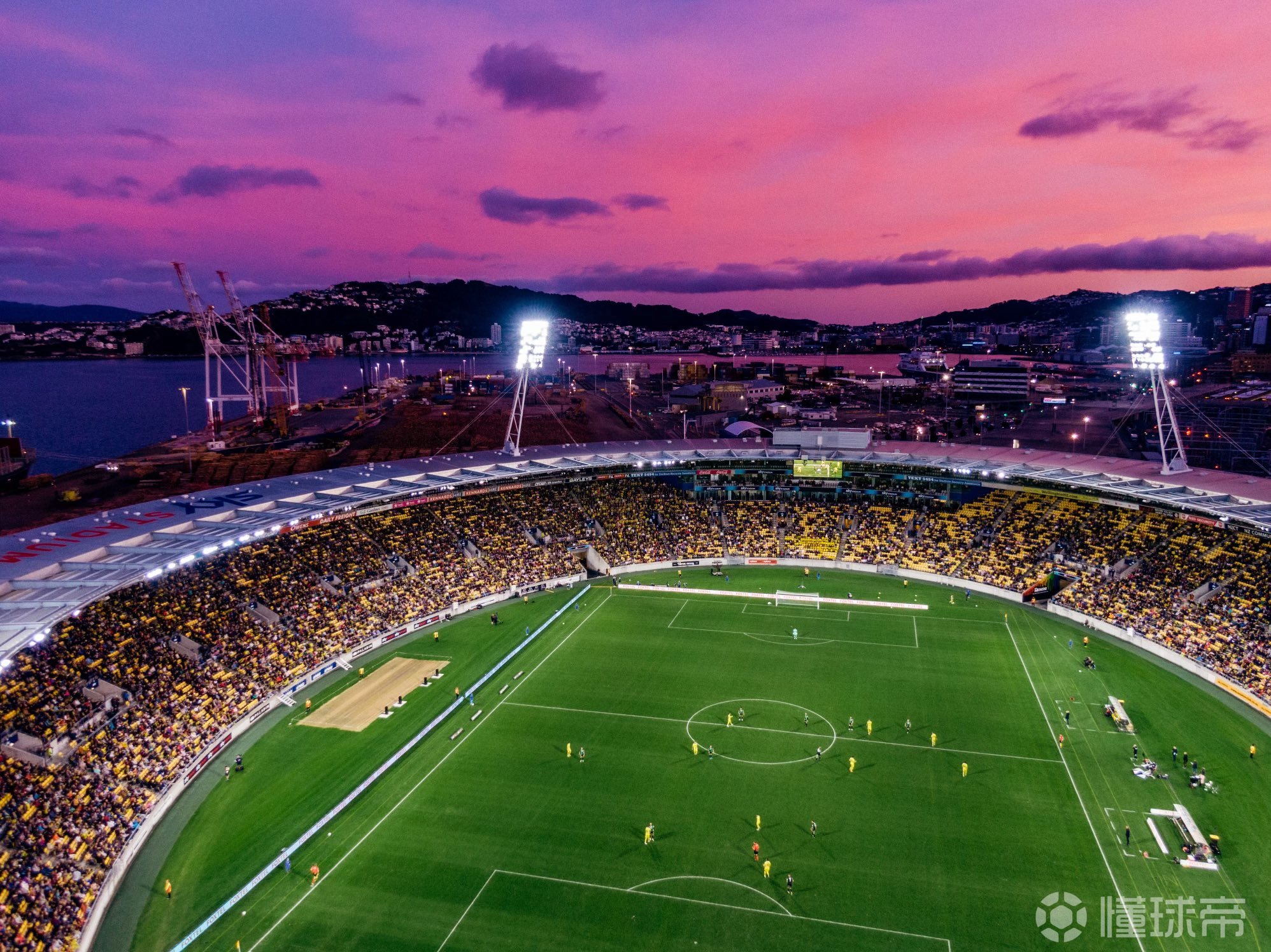 新西兰利用主场之利,取得胜利晋级领先 新西兰利用主场之利,取得胜利晋级领先