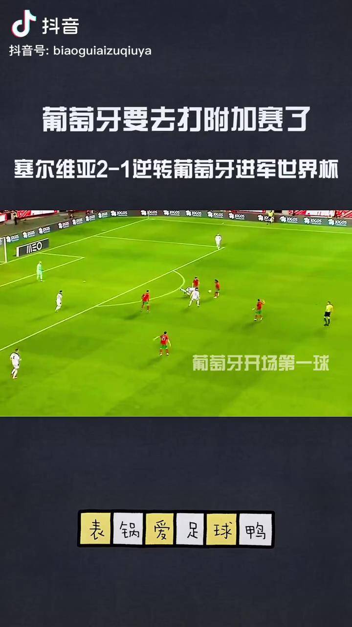 葡萄牙不敌塞尔维亚，遗憾失利