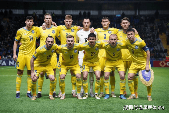 波黑队力克北爱尔兰，晋级欧国杯16强